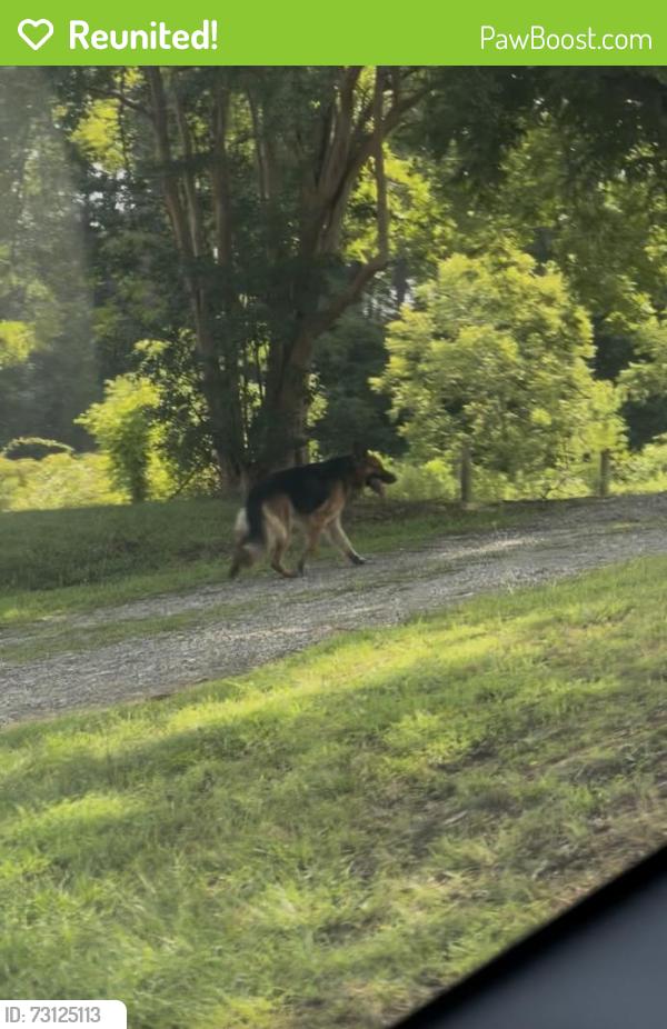 Reunited Unknown Dog last seen Near Centergrove Rd, Kannapolis, NC 28083, USA, Kannapolis, NC 28083
