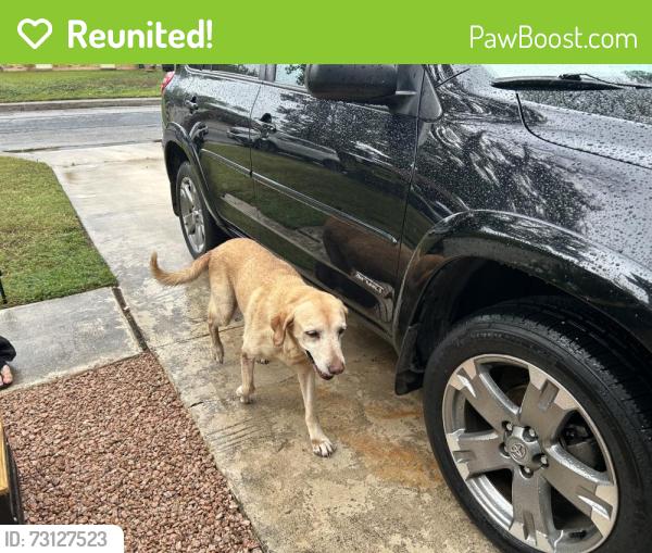 Reunited Female Dog last seen Near Zachry middleschool, San Antonio, TX 78250