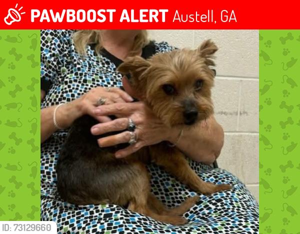 Lost Male Dog last seen Near pinegrove Dr Austell Georgia 30106, Austell, GA 30106