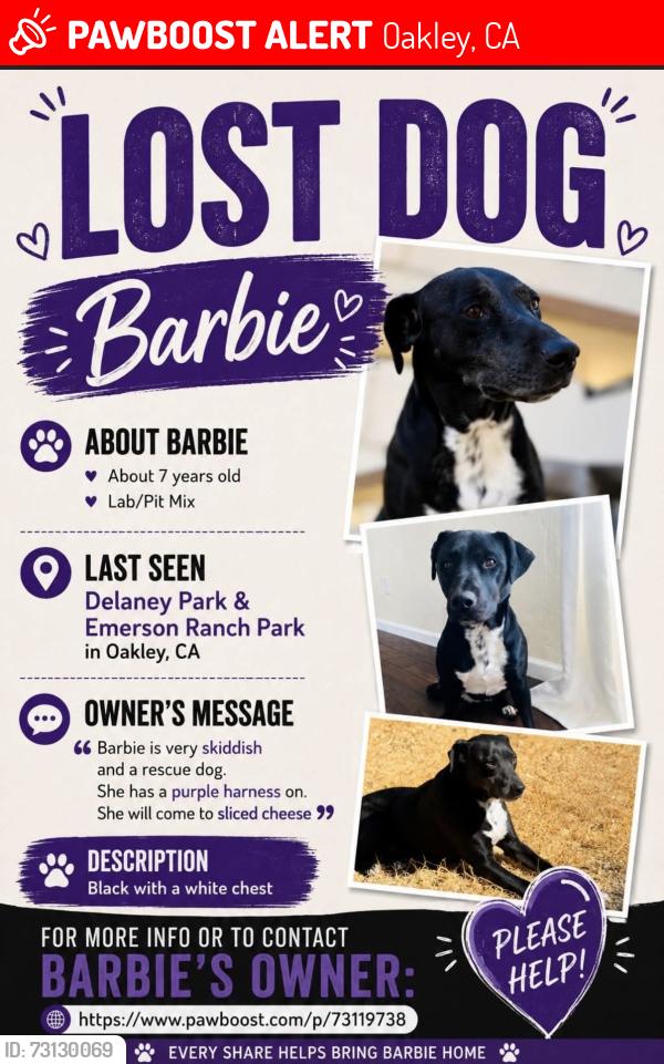 Lost Female Dog last seen Delaney park, Oakley, CA 94561