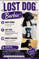 Lost Female Dog last seen Delaney park, Oakley, CA 94561