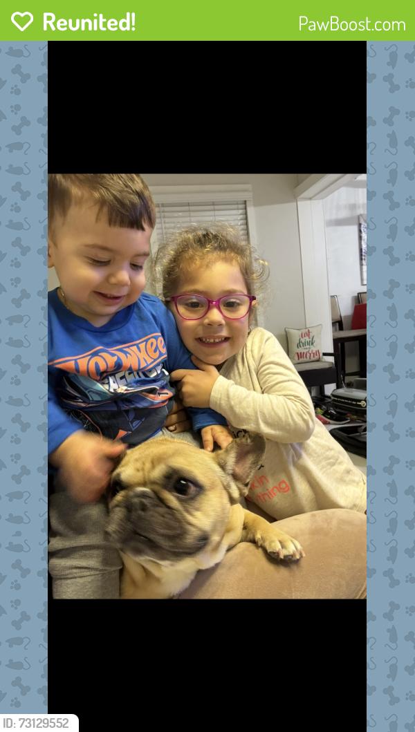 Reunited Female Dog last seen Sunland ests, Sanford, FL 32773