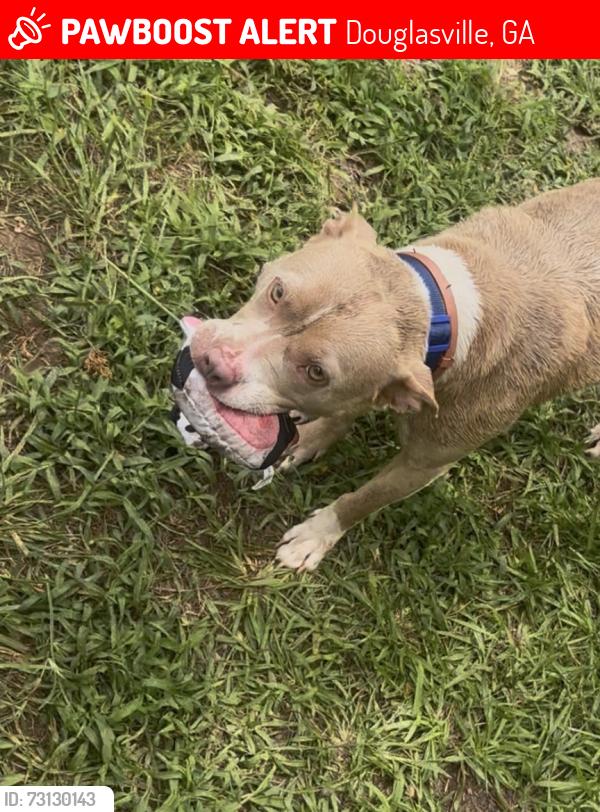 Lost Female Dog last seen FairPlay ballpark, Douglasville, GA 30135