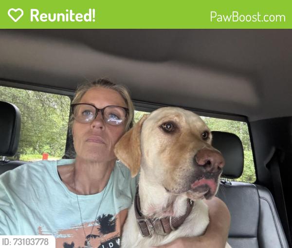 Reunited Female Dog last seen Near Hwy & Cracker Barrel, Crestview, FL 32536