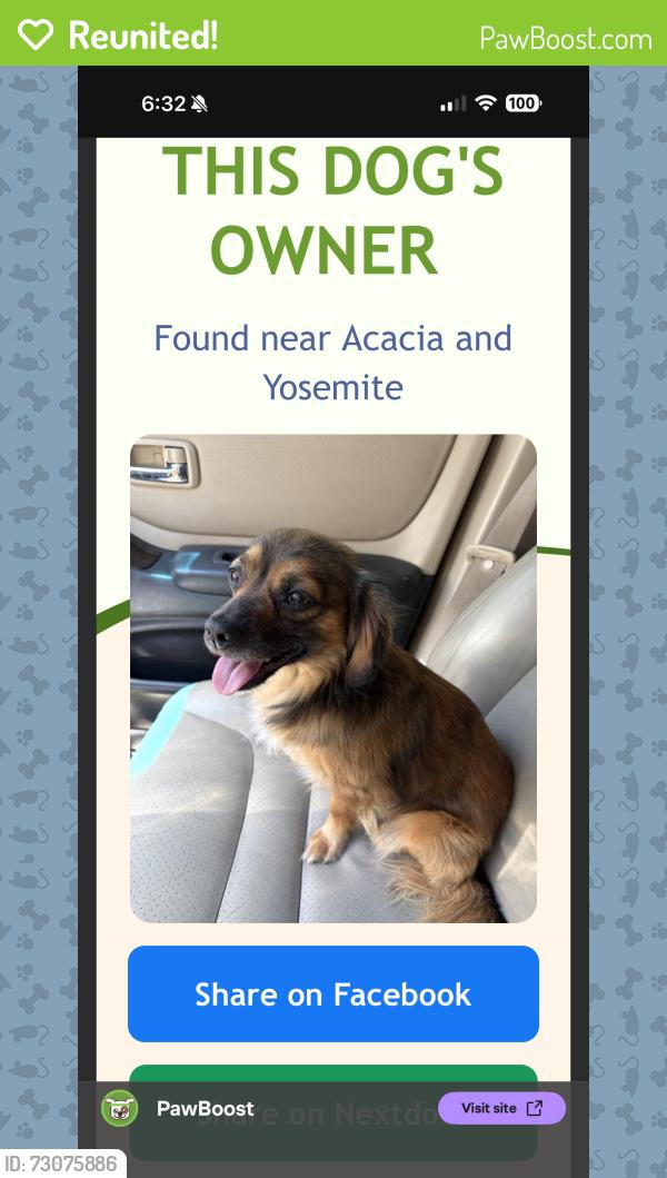 Reunited Male Dog last seen West Fremont street Stockton ca, Stockton, CA 95203