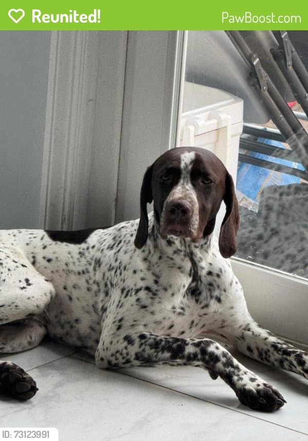 Reunited Male Dog last seen Near Costco on RT3, Fredericksburg, VA 22407