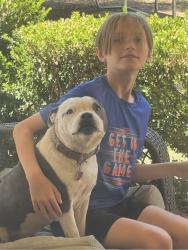 Reunited Female Dog last seen Godfrey, Tarleton, Wadley, Midland, TX 79707