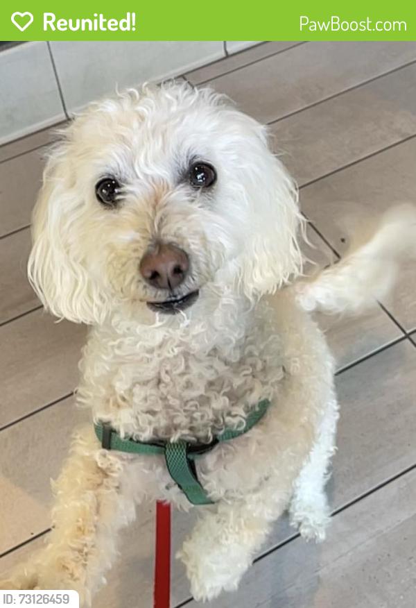 Reunited Male Dog last seen Villa Oak Drive, Citrus Heights, CA 95610