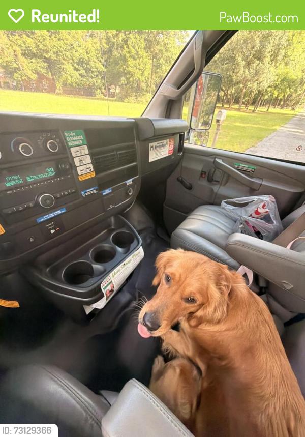 Reunited Female Dog last seen 9th Ave, Pensacola, FL 32504