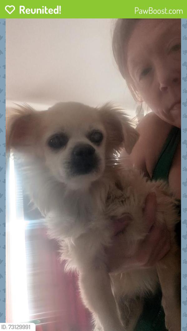Reunited Male Dog last seen Lawson Street/Reed Road/Bridge Road New Hamburg, Wappingers Falls, NY 12590