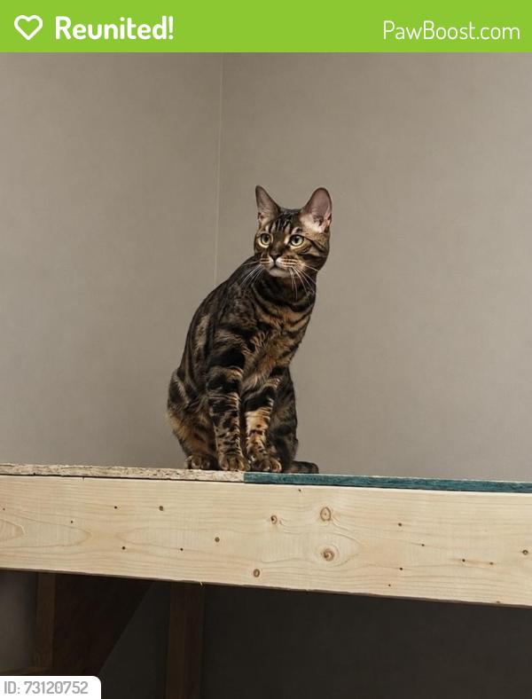 Reunited Male Cat last seen Ohio and Butler, Saint Paul, MN 55118