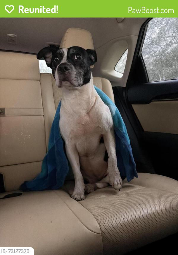 Reunited Female Dog last seen Woodruff, sc, Woodruff, SC 29388