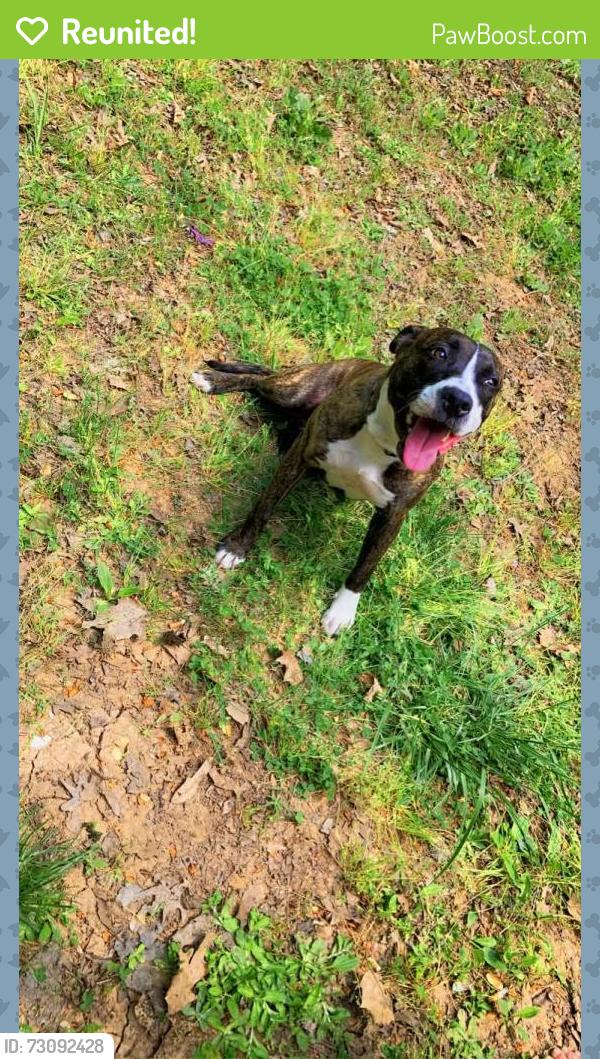 Reunited Female Dog last seen Highway 17, Wahneta, FL 33839