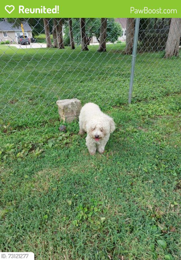 Reunited Female Dog last seen 27th and Crysler, Independence, MO 64052