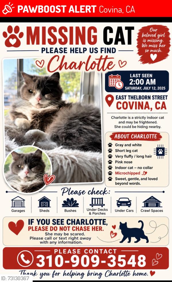 Lost Female Cat last seen Rowland and Thelborn, Covina, CA 91723