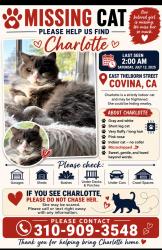 Lost Female Cat last seen Rowland and Thelborn, Covina, CA 91723