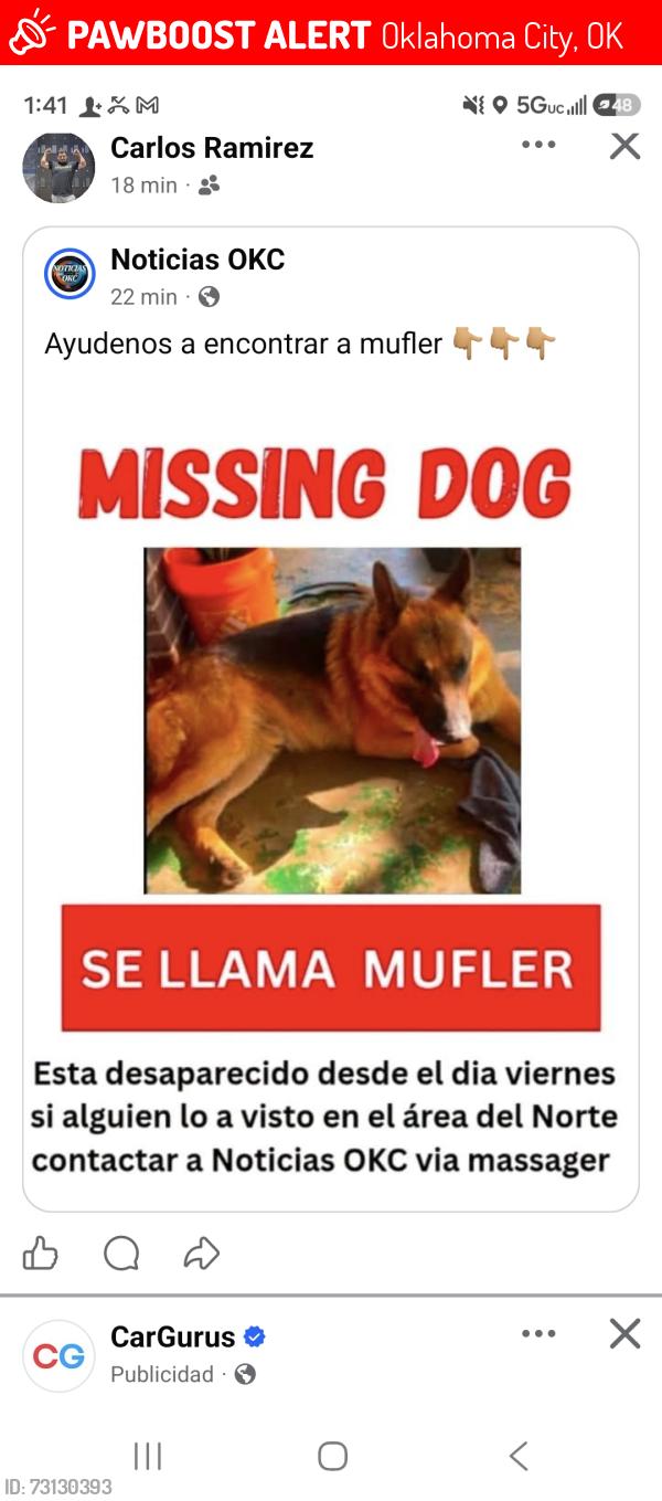 Lost Male Dog last seen Near N macarthur blvd, Oklahoma City, OK 73107