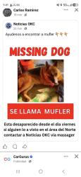 Lost Male Dog last seen Near N macarthur blvd, Oklahoma City, OK 73107