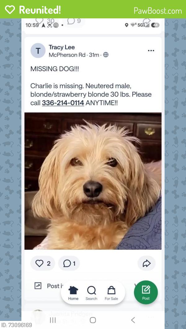 Reunited Male Dog last seen Keogh St, Burlington, NC 27215