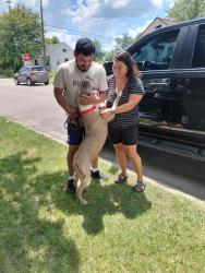 Reunited Male Dog last seen ORANGE ST SOUTH SHERMAN DR, Indianapolis, IN 46203