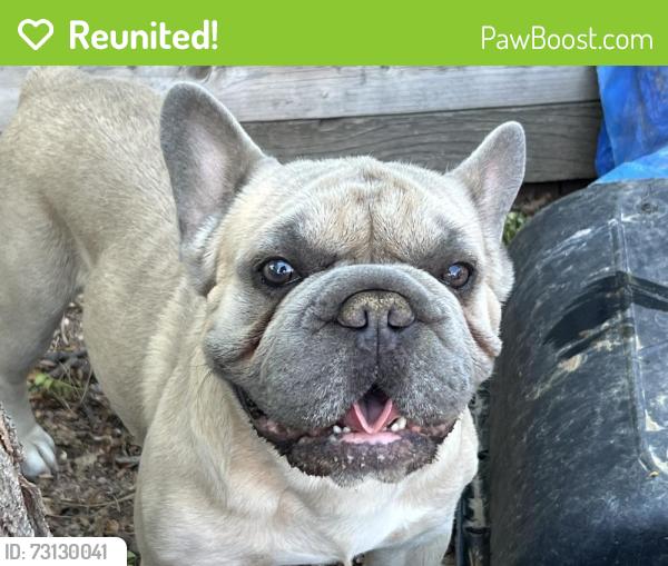 Reunited Male Dog last seen 22nd and Nome, Aurora, CO 80010
