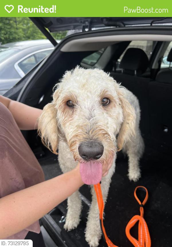 Reunited Male Dog last seen Nolensville Rd/Burkitt, Nolensville, TN 37027