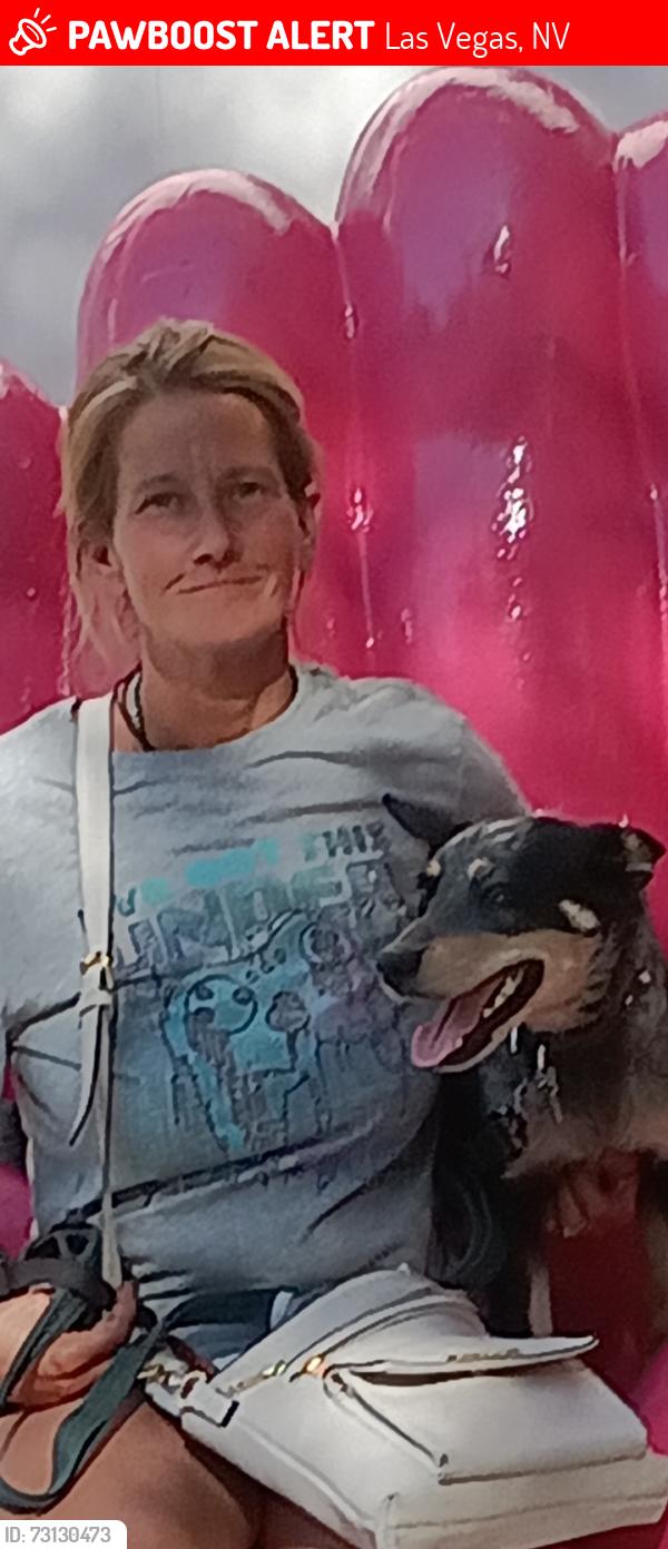 Lost Male Dog last seen Toni's hse, Las Vegas, NV 89107