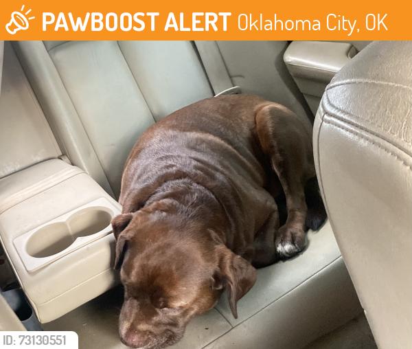 Found/Stray Male Dog last seen On cue on may and 240, Oklahoma City, OK 73159