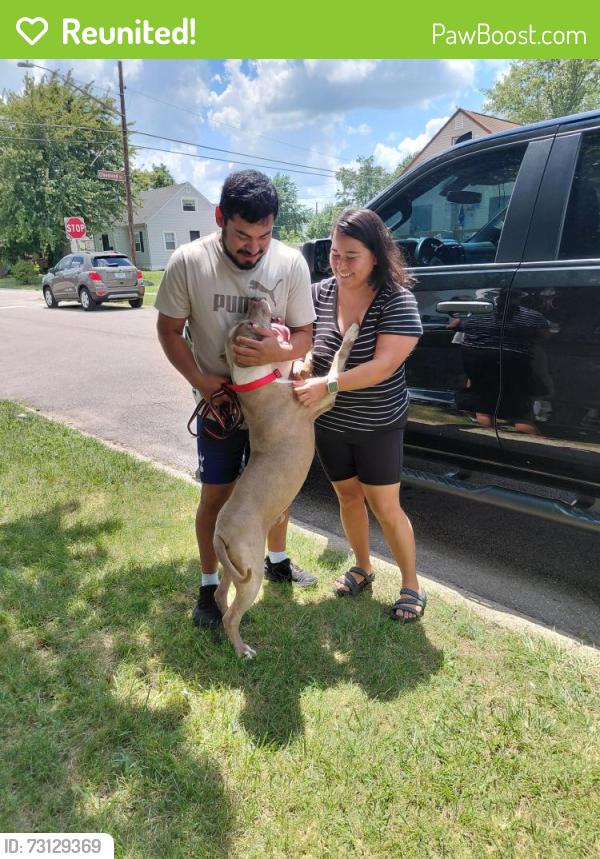 Reunited Male Dog last seen ORANGE ST SOUTH SHERMAN DR, Indianapolis, IN 46203