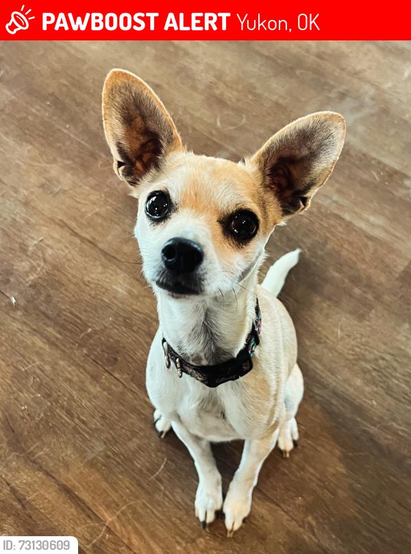 Lost Female Dog last seen Near S Yukon Parkway, Yukon, OK 73099