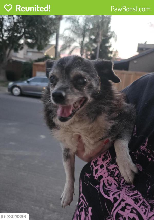 Reunited Unknown Dog last seen Peta and Briggsmore, Modesto, CA 95355