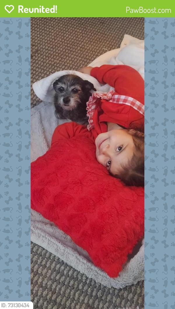 Reunited Female Dog last seen Comanche, Midland, TX 79703