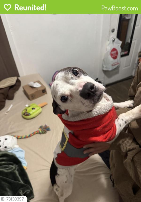 Reunited Female Dog last seen Standiford, Modesto, CA 95350