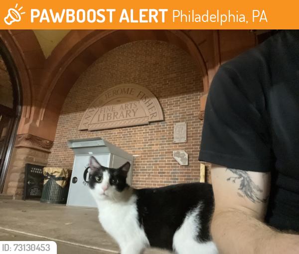 Rehomed Male Cat last seen 34th and Locust By Fischer Fine Arts Library, Philadelphia, PA 19104