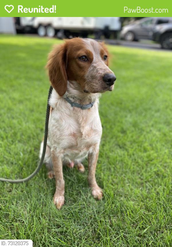 Reunited Male Dog last seen Lincoln Road and Gracie Road, Harvard, IL 60033