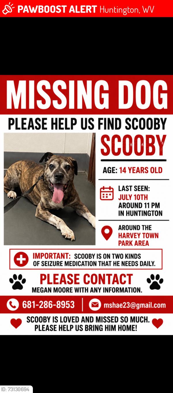 Lost Male Dog last seen Johnstown Road, Huntington, WV 45619