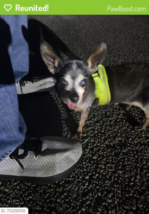 Reunited Male Dog last seen Brushy Point St/New Territories, San Antonio, TX 78250