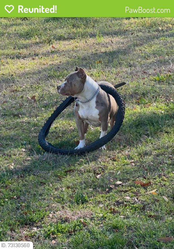 Reunited Male Dog last seen Near Lower Wetumpka Rd, Montgomery, AL 36110, USA, Montgomery, AL 36110