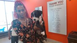 Shelter Stray Male Dog last seen Near BLOCK ZORN AVE, 3528 Newburg Rd, Louisville, KY 40218, USA