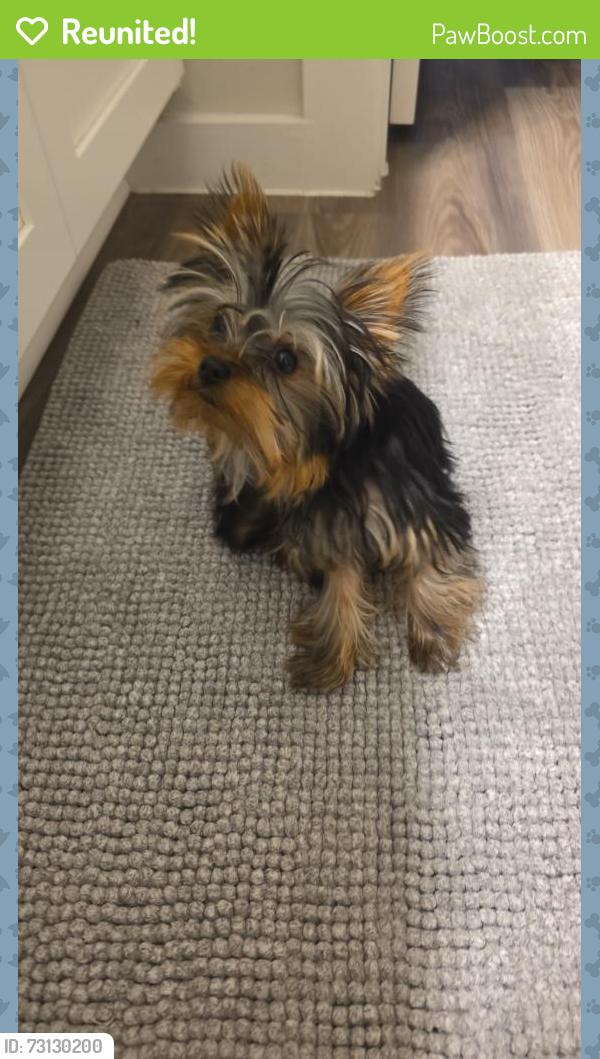 Reunited Male Dog last seen Near Mountain Pine dr, New Caney, TX 77357