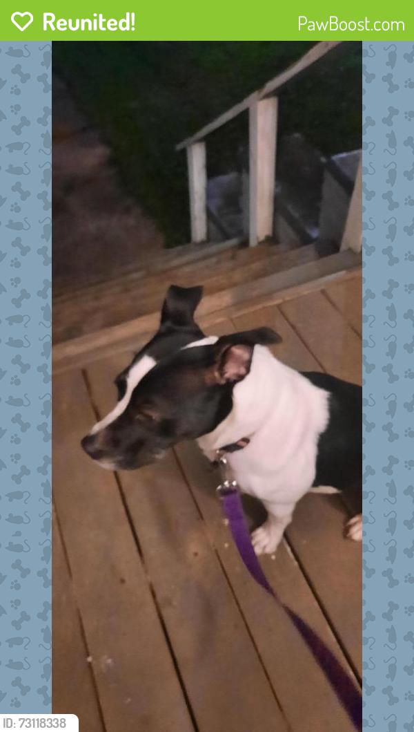 Reunited Female Dog last seen Near Irish vibe walk woodruff s.c 29388, Woodruff, SC 29388