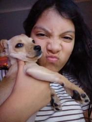 Lost Female Dog last seen Fairgreen street, San Antonio, TX 78242