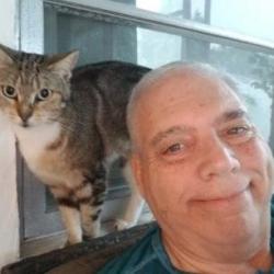 Lost Female Cat last seen Janice Lane & Arcadia, Holiday, FL 34690