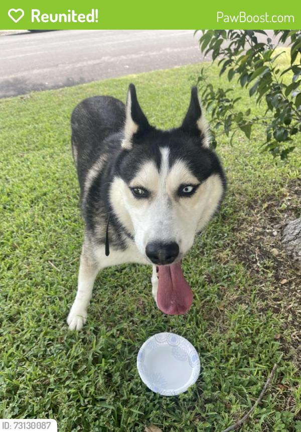 Reunited Male Dog last seen 4tj, Temple, TX 76504