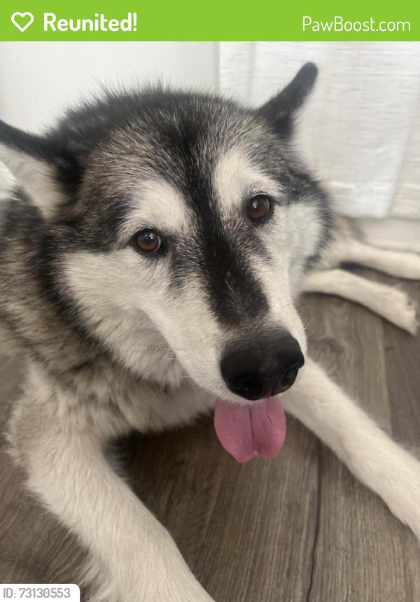 Reunited Male Dog last seen Near Pebble Dr., El Sobrante, CA 94803