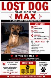Reunited Male Dog last seen Near De Zavala Rd, San Antonio, TX 78249, USA, San Antonio, TX 78249
