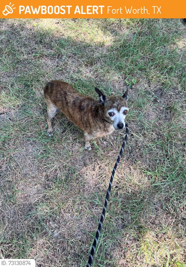 Found/Stray Male Dog last seen Silver Creek Materials, Fort Worth, TX 76108