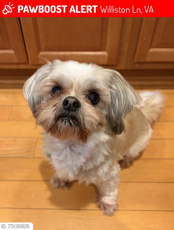 Lost Male Dog last seen Faulkner lane and Blantons rd, Williston Ln, VA 