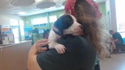 Shelter Stray Male Dog last seen Near BLOCK S 7TH ST, 3528 Newburg Rd, Louisville, KY 40218, USA