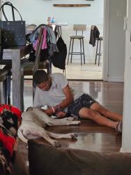 Reunited Female Dog last seen Near baldridge canyon drive, Highland, CA 92346